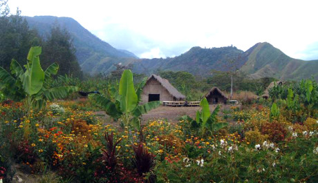 FOTO: Horsk&aacute; chatrč