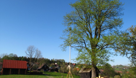 FOTO: Pohled na vesničku Hrčavu