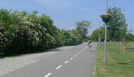 FOTO: In-line stezka na Ladronce