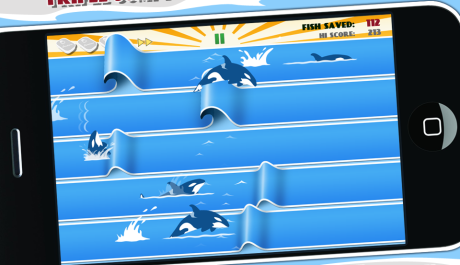 Skákající kytovci