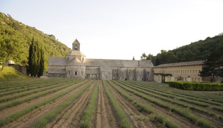 FOTO: Provence - Abbey