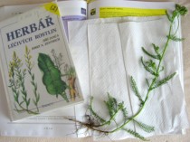 Foto: Řebříček s herbářem