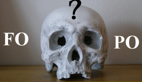 FOTO: Lebka přem&yacute;&scaron;lej&iacute;c&iacute; nad zkratkami FO a PO