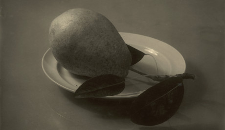 FOTO: Zátiší podle Navrátila (1958)