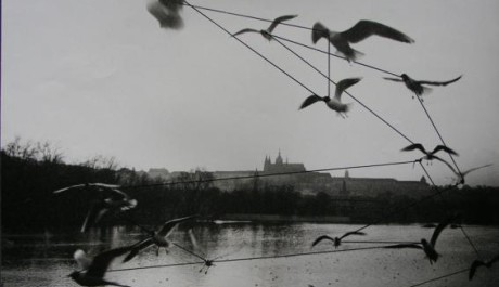 Foto.:Liniemi: D. Chatrný interpretuje fotografii různými prostředky.