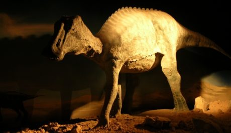 Dinosaurus - ilustrační foto