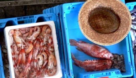 FOTO: Rybí trh v letovisku Blanes