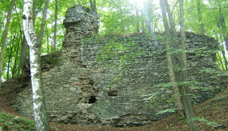 FOTO: Zř&iacute;cenina hradu Star&aacute; Dub&aacute;