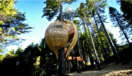 FOTO: Restaurace Yellow Treehouse