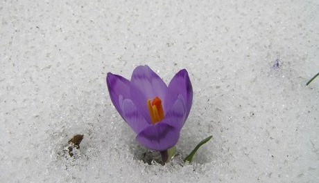 FOTO: I Čapek se zamýšlí nad hloubkou lidské existence