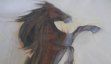 FOTO: Augusto Banegas - Zrození koně