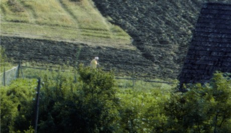 Zvětšenina III (2011) FOTO: Zvětšenina III (2011)