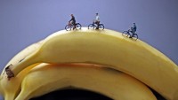 FOTO: Cyklisté na banánu, Christopher Boffoli