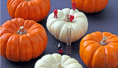 FOTO: Práce na dýních, Christopher Boffoli