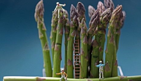 FOTO: Opravy na chřestu, Christopher Boffoli