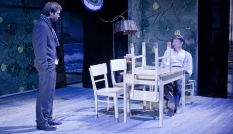 Foto: Divoká kachna