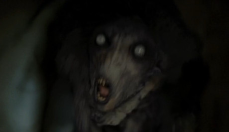 Nebojte se tmy Foto: dont-be-distributor