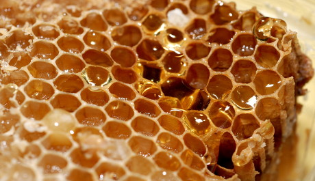 honey