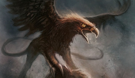 Katie J. Taylor: Temný gryf (ilustrační)