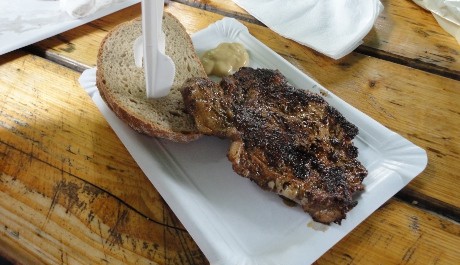 FOTO: Krkovička v Riegrových sadech 