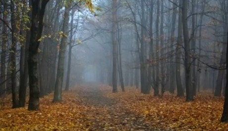 FOTO: Leč říjen nabízí spoustu důvodů k oslavě, nad počasím asi jásat nebudeme