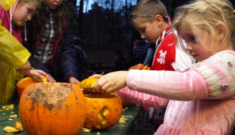 FOTO: Děti a d&yacute;ně