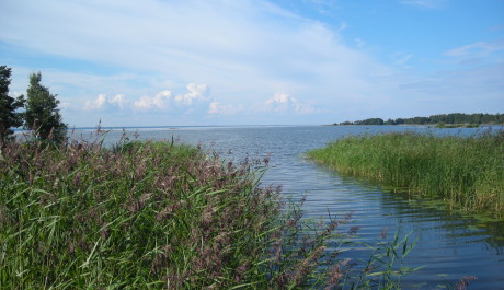 FOTO: Příroda ve Švédsku je ohromující