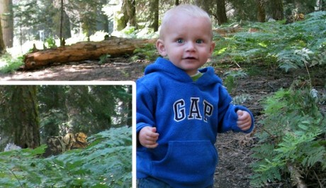 FOTO: Ewok na rodinné forografii Herrerových