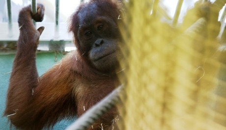 Gempa v z&aacute;zem&iacute;, Foto: Tom&aacute;&scaron; Adamec