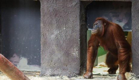 Mavar ve vnitřn&iacute; expozici, Foto: Tom&aacute;&scaron; Adamec