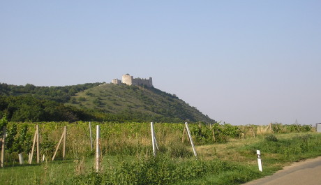 FOTO: Jihomoravsk&eacute; skl&iacute;pky l&aacute;kaj&iacute; nespočet Čechů