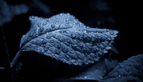 FOTO: Kapky de&scaron;tě Zdroj: sxc.hu