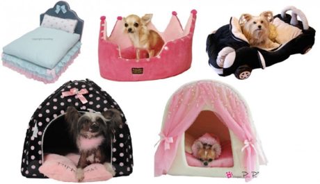 FOTO: Zvířecí pelíšky