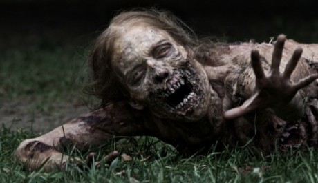 The Walking Dead (priorita)