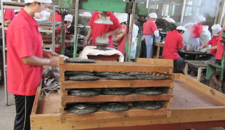 FOTO: Dělníci v manufaktuře na výrobu čaje