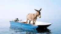 FOTO: Nemusíte býti zrovna oslem, abyste ztroskotali na moři