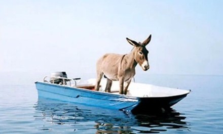 FOTO: Nemusíte býti zrovna oslem abyste ztroskotali na moři