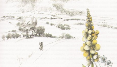 FOTO: Krásná krajina tohoto půvabného díla