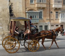 FOTO: Kočár tažený koněm