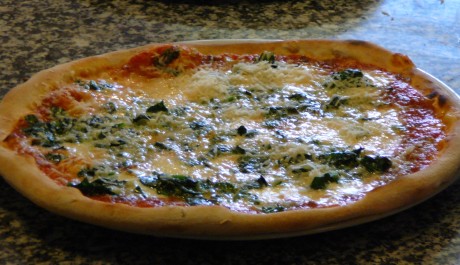 FOTO: Pizza cup 2011