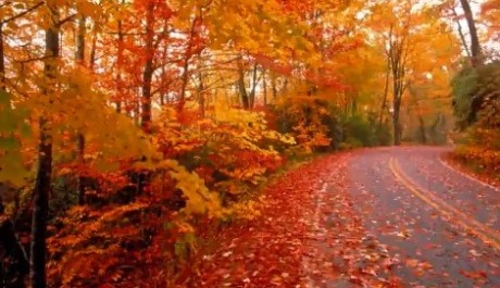 FOTO: Listopad nab&iacute;z&iacute; i hezk&eacute; dny