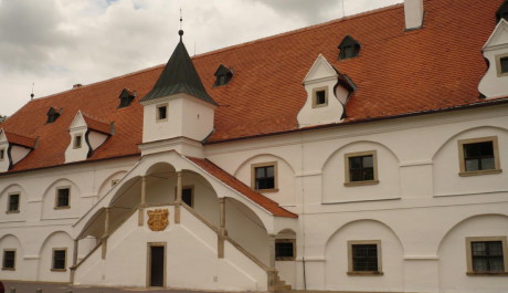 FOTO: Ml&yacute;n ve Slupi