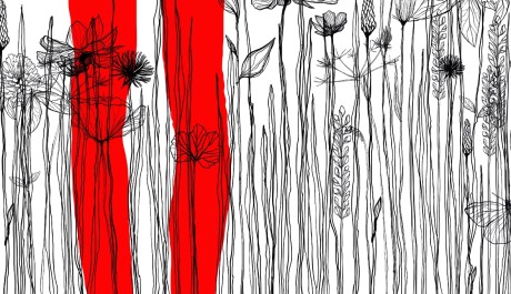 Foto."Letos čekají na návštěvníky novinky od tuzemských i zahraničních designerů."