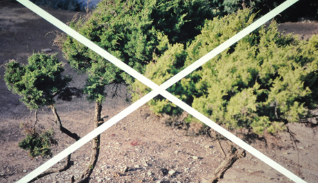 Foto."Filip Cenek se ve své tvorbě zabývá narací v digitální formě."