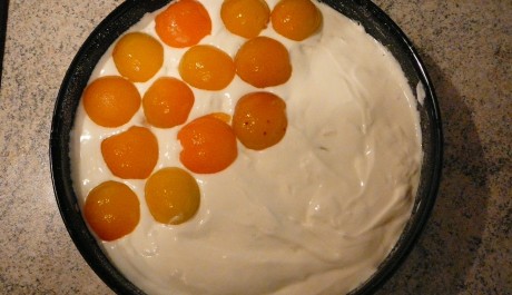 FOTO: Broskve pro oživen&iacute;