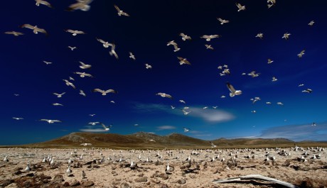FOTO: Festival Kolem světa odstartuje o víkendu v Brně