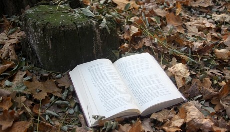 FOTO: Kniha