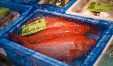 FOTO: Ryb&iacute; trh, Tokio, Japonsko