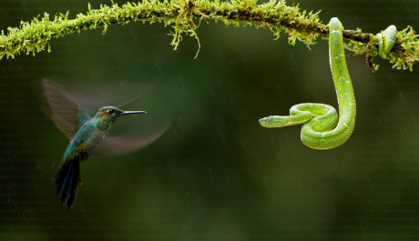 FOTO: Vystihnut&iacute; okamžiku fotografem