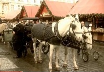 FOTO: Koně s koč&iacute;m jako z poh&aacute;dky